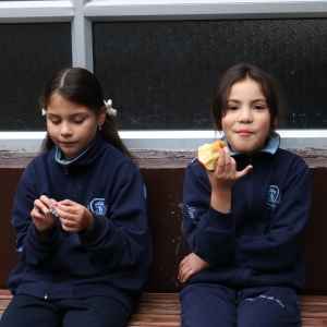 Día de la Actividad Física